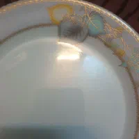 سرویس ملامین اصل یزد گل