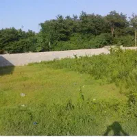 زمین-ویلایی