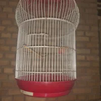 قفس گنبدی با پایه