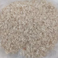 برنج‌‌شالی‌ محلی‌ فجر‌