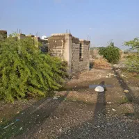 زمین|فروش زمین و ملک کلنگی|قلعه قاضی, |دیوار
