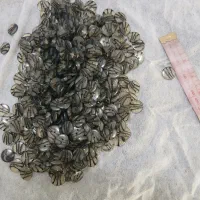 قزن سه تکه ودکمه صدفی|لوازم خیاطی و بافتنی|قم, نیروگاه|دیوار