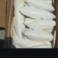 کف دریا|عمدهفروشی|بوشهر, |دیوار