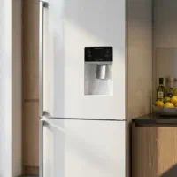 یخچال دیپوینت مدل دیسنت