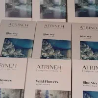 فروش ویژه عطرینه خوشبو کننده محیط... 3رایحه مختلف