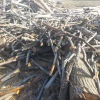 باغبانی درختکاری|خدمات باغبانی و درختکاری|کامیاران, |دیوار