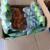 پخش توپ بتا