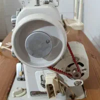 چرخه مادگی جانومه
