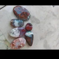 سنگ شجر تراش خورده