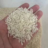 برنج هاشمی درجه یک سیاهکل