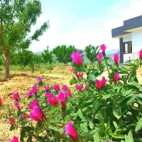 بهترین موقعیت خرید ملک|فروش دفتر صنعتی، کشاورزی، تجاری|اراک, |دیوار