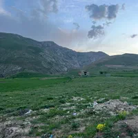 زمین ۱ هکتاری مجره خلخال تالار،کارخانه.گردشگری..|فروش زمین و ملک کلنگی|خلخال, |دیوار