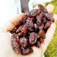 مویز سرخ / کشمش گوشتی ۳۵۰/۰۰۰ درمان کم خونی