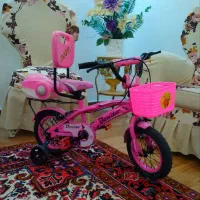 دوچرخه دخترانه دو دستگاه سایز12