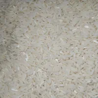 برنج طارم هاشمی دنوج|خوردنی و آشامیدنی|قائمشهر, |دیوار