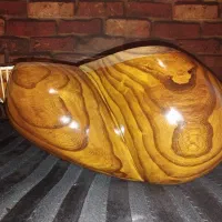 ساز تار دو مهر خوش دست