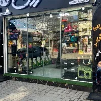 عروس هلندی طوطی ملنگو  شاه طوطی قفس و لوازم پرنده