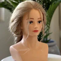 سر مانکن آسیایی|آرایشی، بهداشتی، درمانی|سردشت, |دیوار