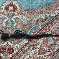 موی طبیعی کاملا سالم و بدون رنگ