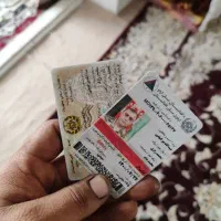 مدارک پیدا شده