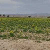 فروش زمین ۴۰۰ متری