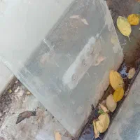 باربند پژو ۴۰۵ آردی روا و اکواریوم با لوازم و ماهی|ماهی|تبریز, |دیوار