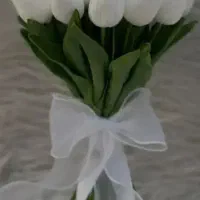 لاله شیپوری