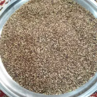 کنجد امسال ترتمیز