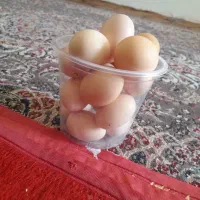 تخم مرغ محلی اصل