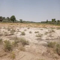 یک دونگ آب و۳هکتارزمین کشاورزی ۵سالع اجاره داده م