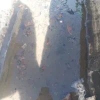 آب از چاه بزرگ عباس آباد جوکار