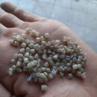 گرانول