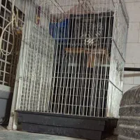 دو عدد قفس بزرگ پرنده|لوازم جانبی حیوانات|شوشتر, |دیوار