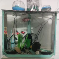 آکواریوم فروشی با لوازم