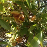 اکیپ چهار نفره برای کار هستیم