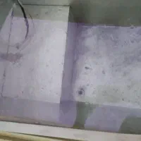 یخچال فریزر بستنی|یخچال و فریزر|قائم‌شهر, |دیوار