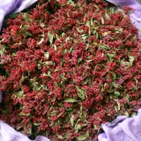 زرشک پوفکی درجه یک