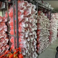 فروش و شارژ کپسول های آتش نشانی|ابزارآلات|کرج, ساسانی (قلمستان)|دیوار