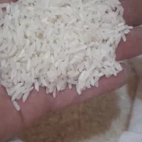 برنج پاکستانی   برنج پاکستانی        برنج پاکستانی|خوردنی و آشامیدنی|اصفهان, رزمندگان|دیوار