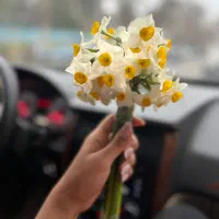 آرایشگری رو قورت بده