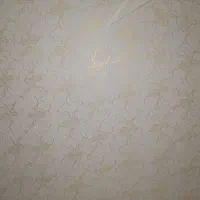 نقاشی منزل وطرح رنگ کاغذ دیواری|خدمات پیشه و مهارت|آستارا, |دیوار