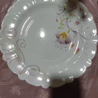 آرکوپال پلو خوری یه دست