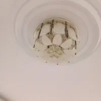 لوستر با لامپ