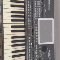 ارگ پیا ۹۰۰