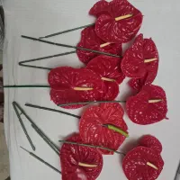 شاخه گل قرمز نو 9 عدد