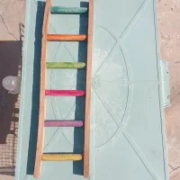 عروس هلندی نر با وسایل کامل|پرنده|روانسر, |دیوار