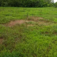 فروش زمین سنددار/ روستای هنده خاله‌/ بهترین لوکیشن