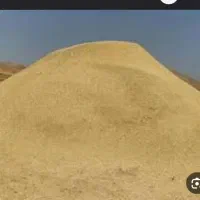 20باک کاه