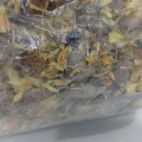 گل جعفری