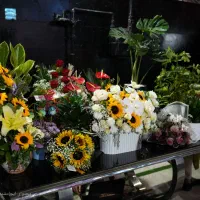 استخدام کارشناس امور مشتریان